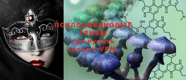 PSILOCYBIN Алзамай